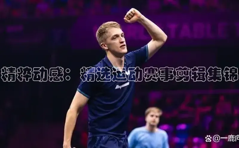 精粹动感：精选运动赛事剪辑集锦