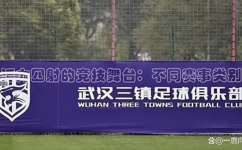 活力四射的竞技舞台：不同赛事类别