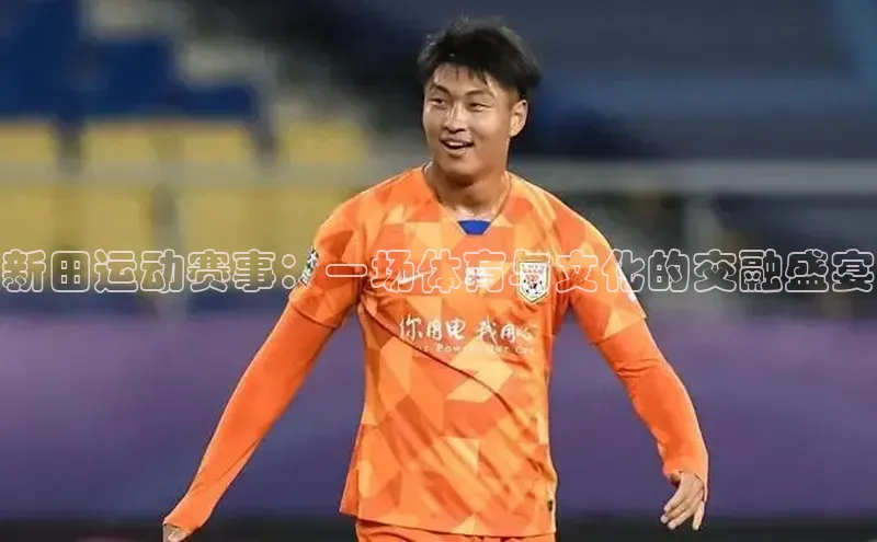 新田运动赛事：一场体育与文化的交融盛宴