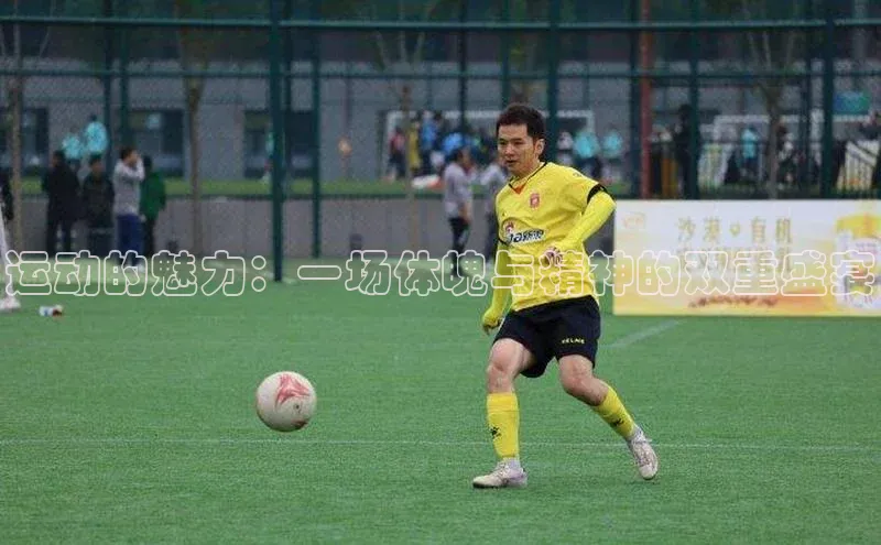 运动的魅力：一场体魄与精神的双重盛宴